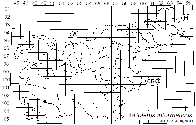 <i>Chalcophora mariana</i> (Linnaeus, 1758)