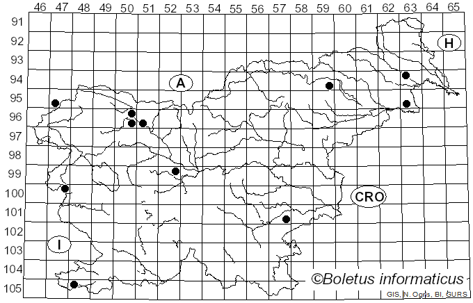 <i>Lachnella alboviolascens</i> (Alb. & Schwein.) Fr. (1849)