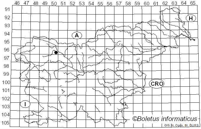 <i>Flammulina filiformis</i> (Z.W. Ge, X.B. Liu & Zhu L. Yang) P.M. Wang, Y.C. Dai, E. Horak & Zhu L. Yang (2018)