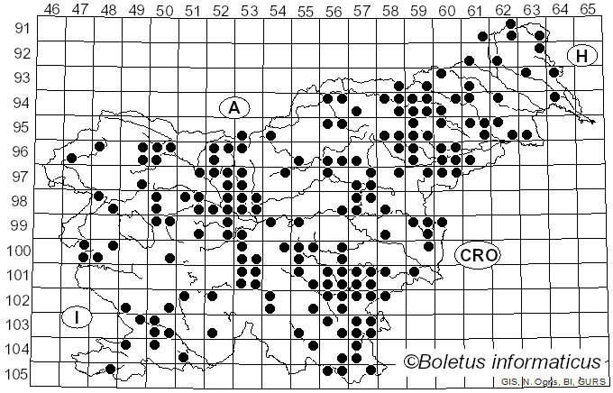 <i>Cyathus</i> Haller (1768)