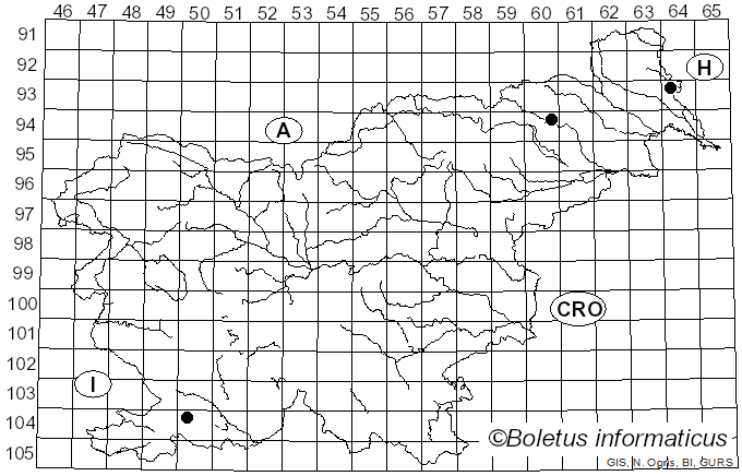 <i>Crumenulopsis pinicola</i> (Rebent.) J.W. Groves (1969)