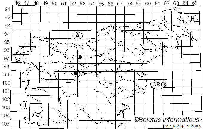 <i>Sphaerella maculiformis</i> (Pers.) Auersw. (1869)