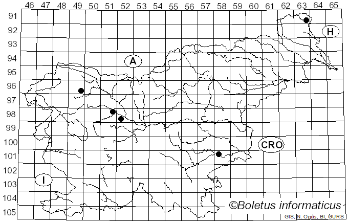 <i>Xanthandrus comtus</i> Harris