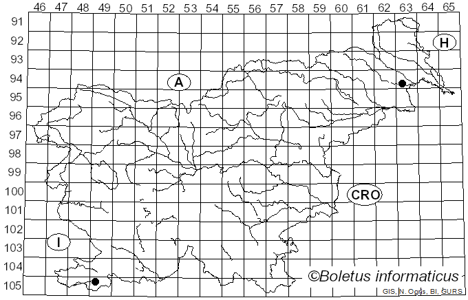 <i>Amanita albogrisescens</i> Contu (2000)