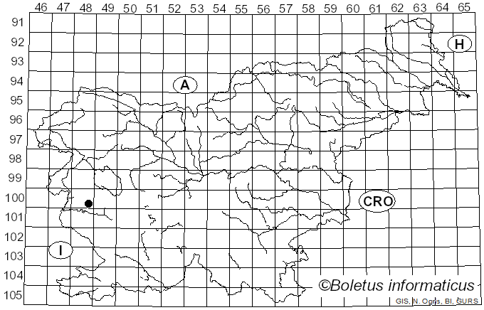 <i>Leucopaxillus lepistoides</i> (Maire) Singer (1939)