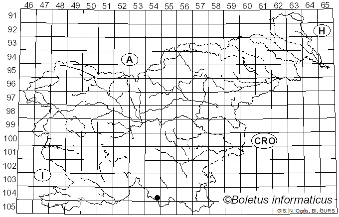 <i>Xylodon nesporii</i> (Bres.) Hjortstam & Ryvarden (2009)