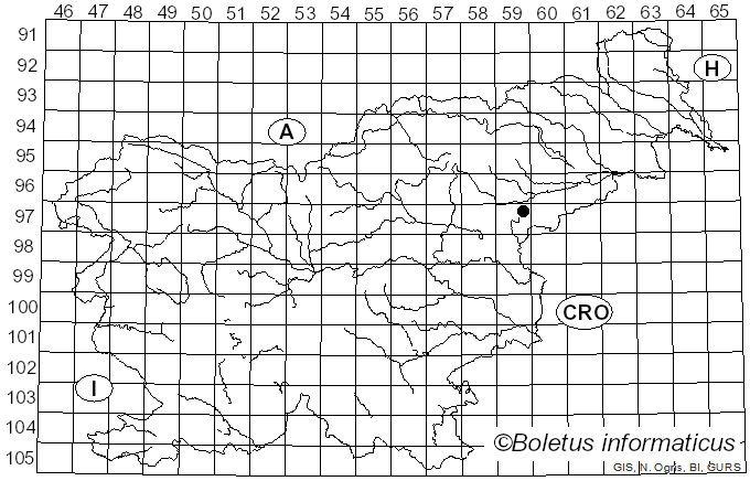 <i>Tricholoma arvernense</i> var. <i>discolor</i> Bon & A. Marchand (1987)