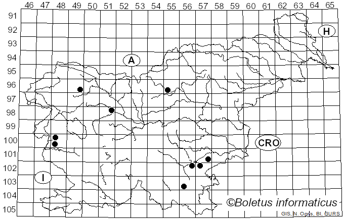 <i>Crepidotus autochthonus</i> J.E. Lange (1938)