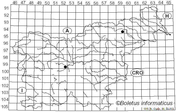 <i>Gymnopilus flavus</i> (Bres.) Singer (1951)