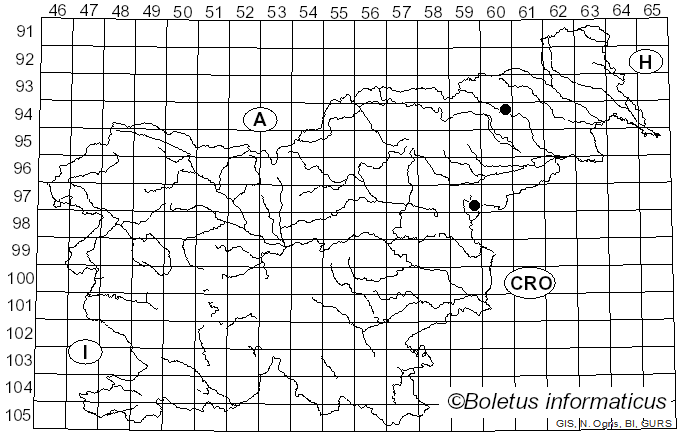 <i>Cryptococcus</i>