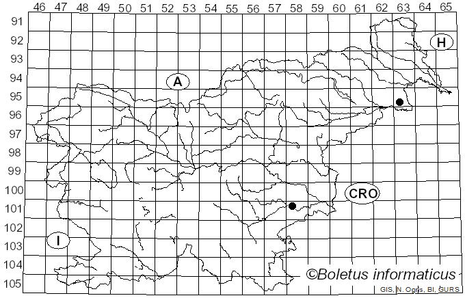 <i>Xerocomellus dryophilus</i> (Thiers) N. Siegel, C.F. Schwarz & J.L. Frank (2014)