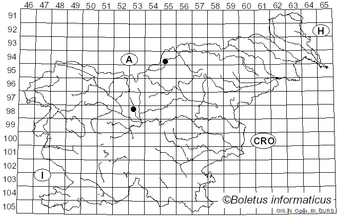 <i>Stemonitis splendens</i> Rostaf. (1875)