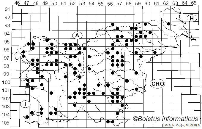 <i>Panaeolus</i> (Fr.) Quél. (1872)