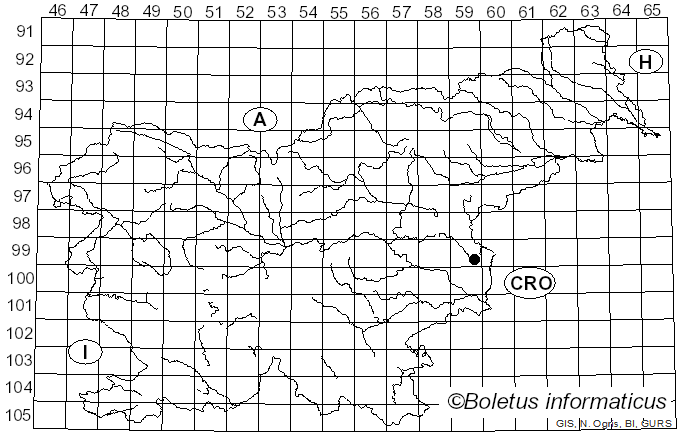 <i>Daldinia decipiens</i> Wollw. & M. Stadler (2001)