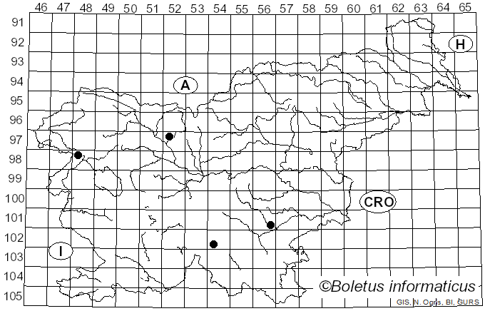 <i>Cortinarius pachypus</i> M.M. Moser (1968)