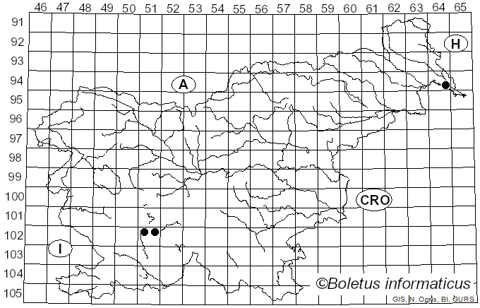 <i>Conops</i>