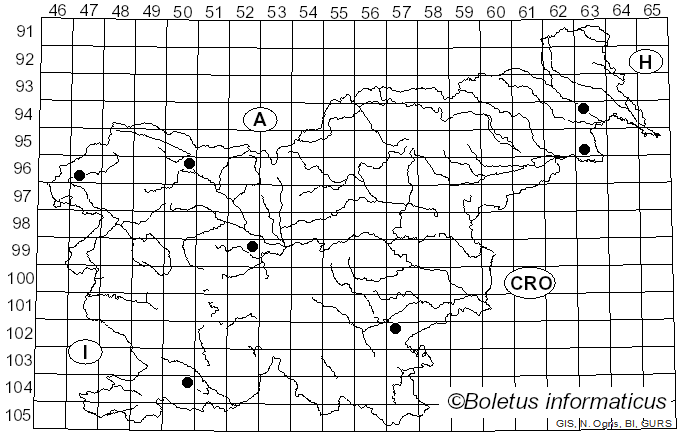 <i>Ciboria amentacea</i> (Balb.) Fuckel (1870)