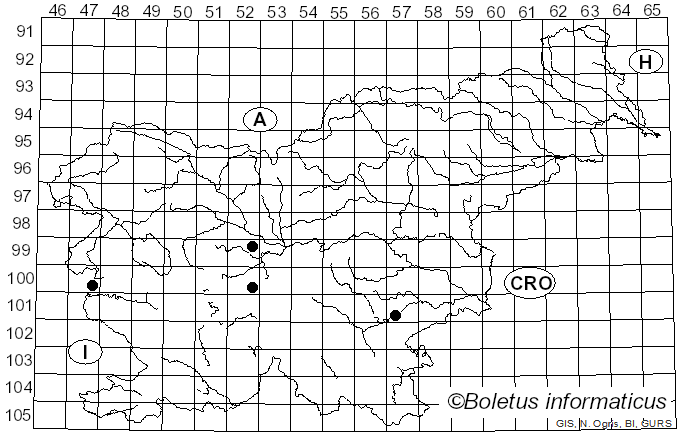 <i>Trochila ilicina</i> (Nees & T. Nees ex Fr.) Courtec. (1986)