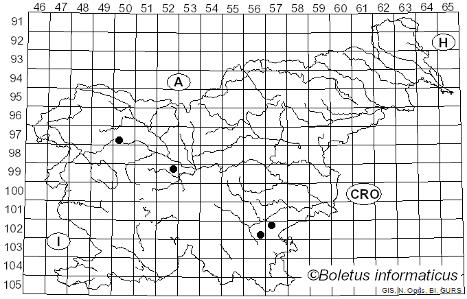 <i>Rhodocollybia filamentosa</i> (Velen.) Antonín (1986)