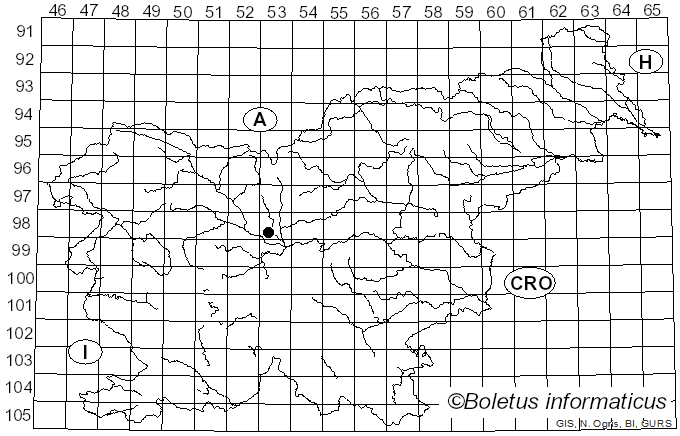 <i>Glomerella graminicola</i> D.J. Politis (1975)