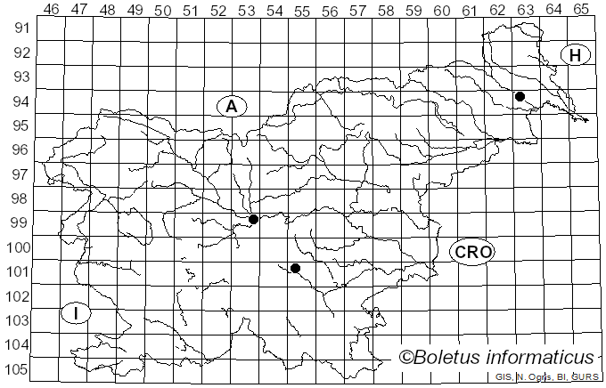 <i>Verticillium dahliae</i> Kleb. (1913)