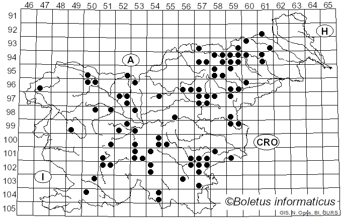 <i>Hypholoma fasciculare</i> var. <i>pusillum</i> J.E. Lange (1923)