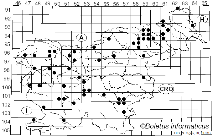 <i>Cortinarius caninus</i> (Fr.) Fr. (1838)