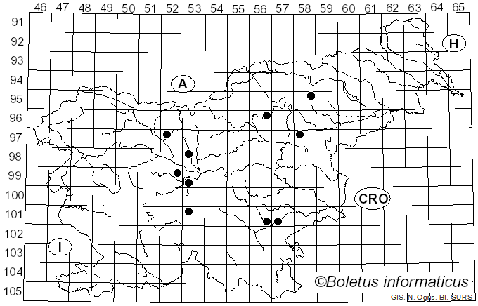 <i>Cortinarius saturatus</i> J.E. Lange (1935)