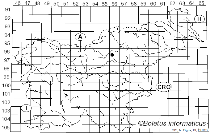<i>Triblidium</i> Rebent. (1805)