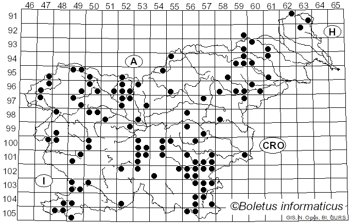 <i>Suillellus</i> Murrill (1909)