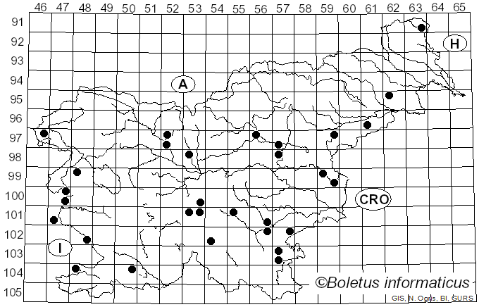 <i>Psilocybe coronilla</i> (Bull.) Noordel. (1995)