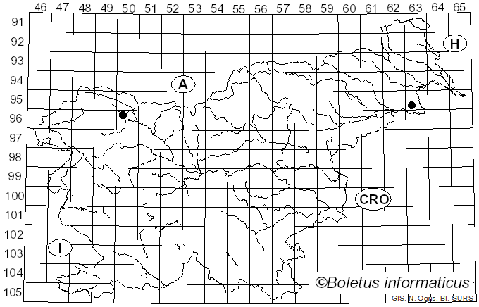 <i>Pseudolachnea hispidula</i> (Schrad.) B. Sutton (1977)