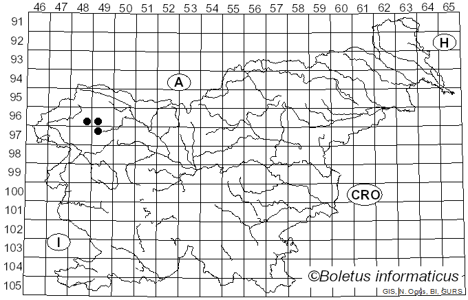 <i>Tuckneraria</i> Randlane & A. Thell (1994)