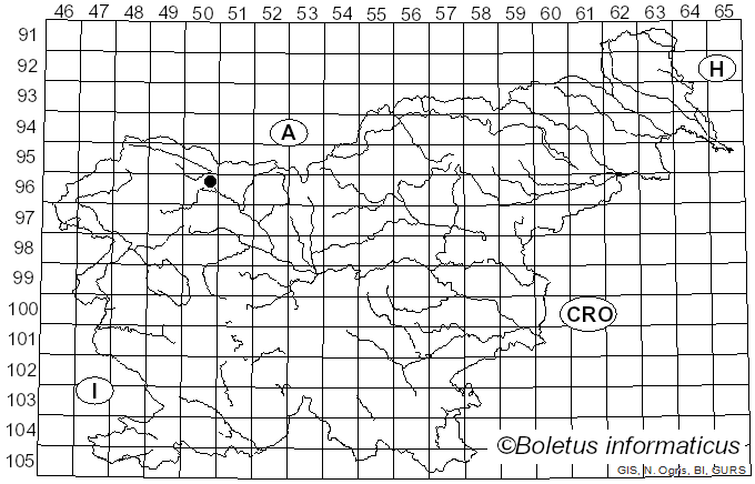 <i>Hamatocanthoscypha</i> Svrček (1977)