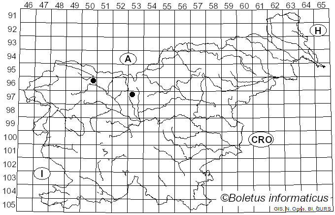 <i>Pronectria lichenicola</i> (Ces.) Clem. (1931)