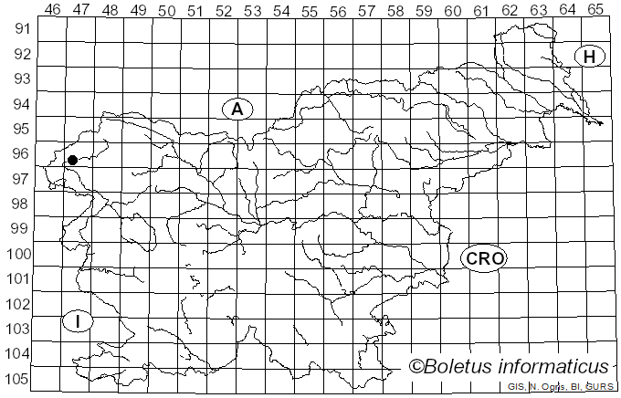 <i>Myxomphalia</i> Hora (1960)