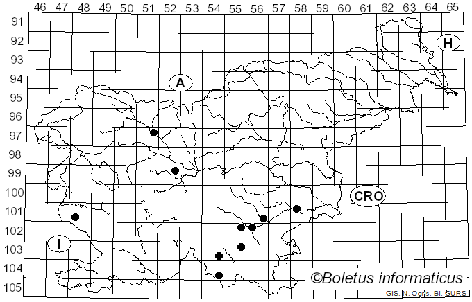 <i>Gloeocystidiellum</i> Donk (1931)