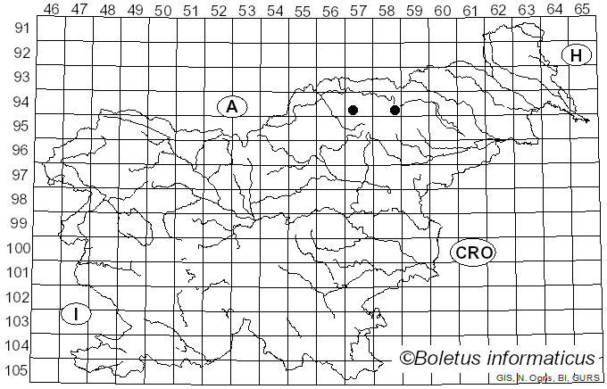 <i>Vouauxiella</i> Petr. & Syd. (1927)