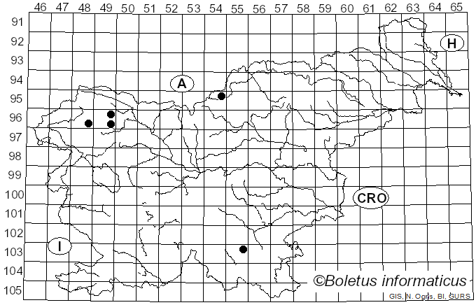 <i>Herpotrichia juniperi</i> (Duby) Petr. (1925)