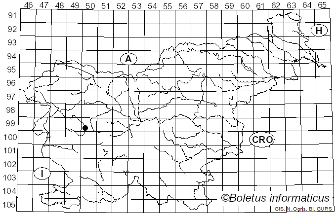<i>Humaria stercorea</i> var. <i>stercorea</i> (Pers.) Fuckel (1870)