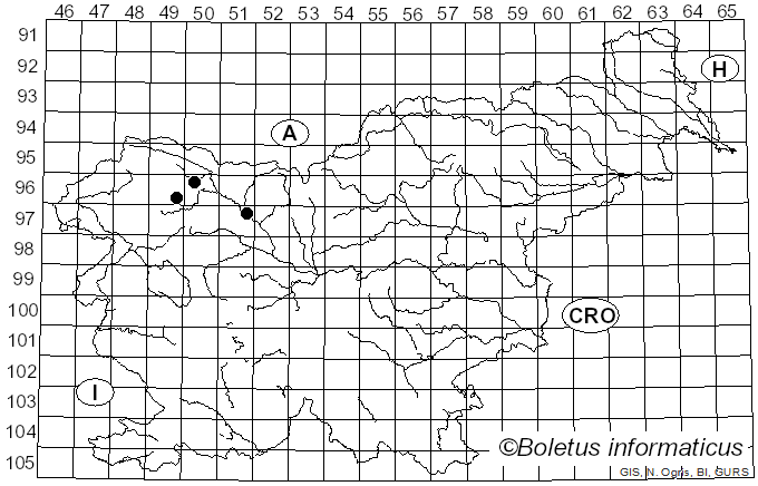 <i>Vexillomyces atrovirens</i> (Pers.) Baral, Quijada & G. Marson (2020)