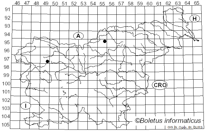 <i>Hypocenomyce caradocensis</i> (Leight. ex Nyl.) P. James & Gotth. Schneid. (1980)