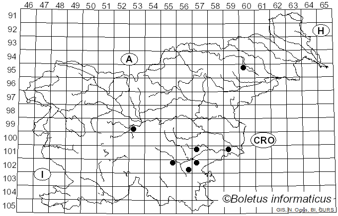 <i>Pluteus pseudorobertii</i> M.M. Moser & Stangl (1963)