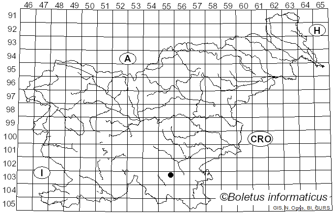 <i>Hypochnicium eichleri</i> (Bres.) J. Erikss. & Ryvarden (1976)