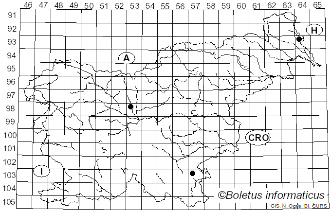 <i>Alloclavaria purpurea</i> (O.F. Müll.) Dentinger & D.J. McLaughlin (2007)