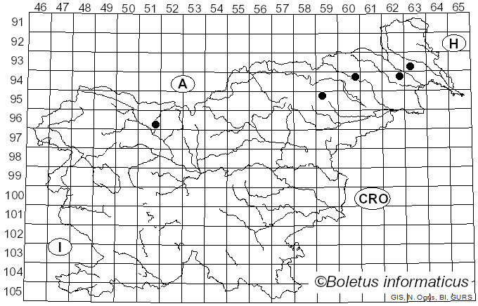 <i>Chromocyphella</i> De Toni & Levi (1888)