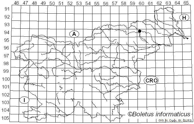 <i>Heyderia abietis</i> (Fr.) Link (1833)