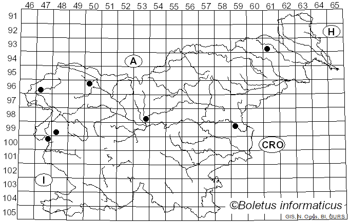 <i>Tricholoma stiparophyllum</i> (N. Lund) P. Karst. (1879)