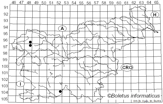 <i>Agonimia tristicula</i> (Nyl.) Zahlbr. (1909)