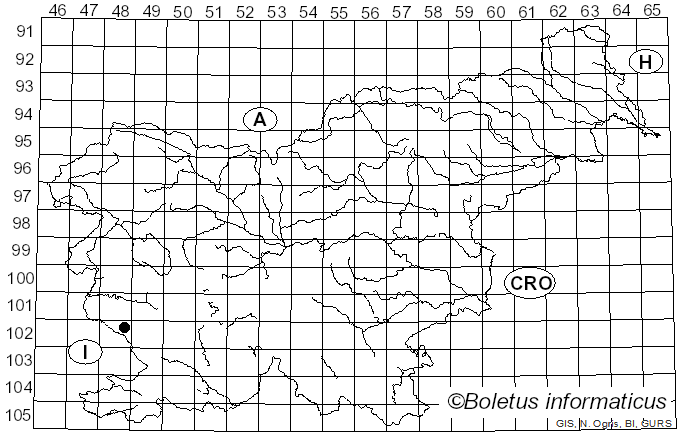 <i>Leccinellum lepidum</i> (H. Bouchet ex Essette) Bresinsky & Manfr. Binder (2003)